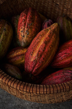 Bowl with ripe cocoa pods