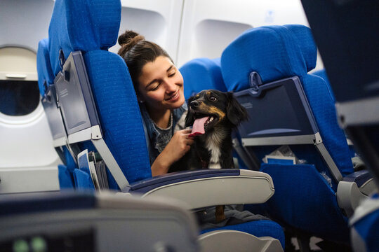 Girl With Her Dog On An Aircraft.