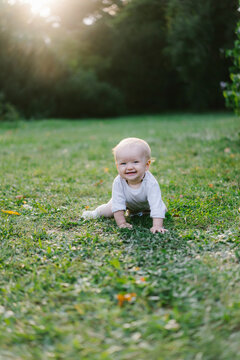 Baby girl crawling on green meadow