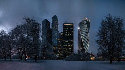 Moscow City Skyline in the dusk shot through the trees