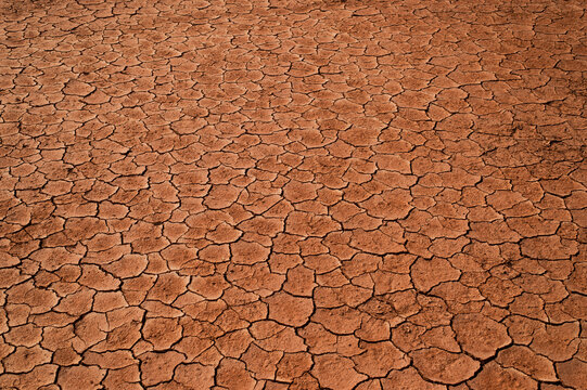Dry Cracked Land texture