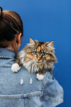 Cat Lover