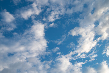 Fototapeta premium 空