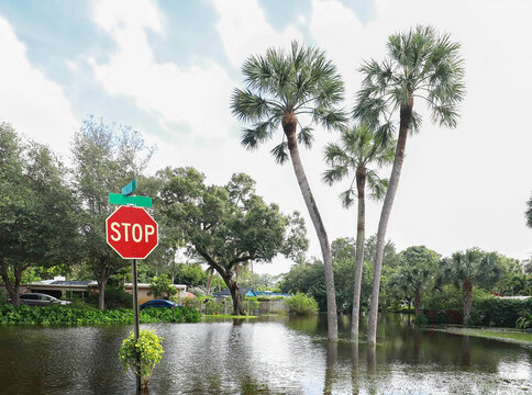 Tropical Storm Eta floods neighborhood streets. Eta is the 7th letter in the Greek alphabet, 2020 has been a record breaking hurricane season we are now using the Greek alphabet to name our storms.