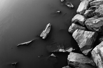 Black and white picture of the creek