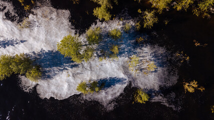 Drone shot of trees flooded by the river