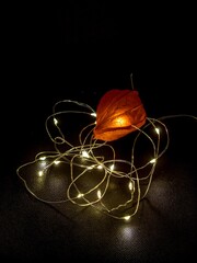 Decorative red physalis glows from the lights of the garland.