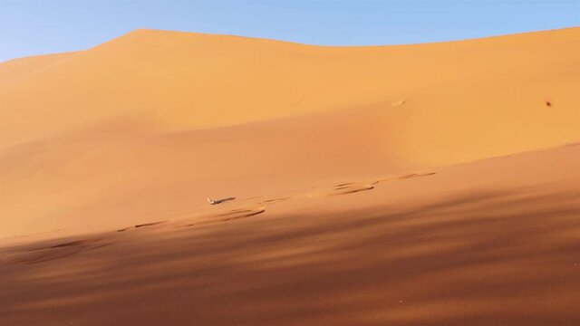 Landschaft der W&uuml;ste Namib in Afrika. Das Video zeigt das bekannte Gebiet Sossusvlei in Namibia mit seinen ber&uuml;hmten D&uuml;nen, die ein Wahrzeichen Namibias und eine absolute Sehensw&uuml;rdigkeit  sind.