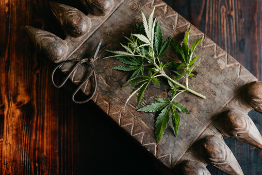 Cannabis still life