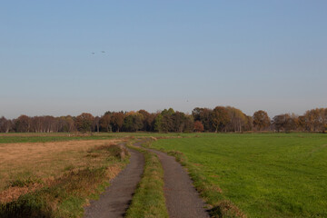 Herbstliche Landschaft mit Feldweg und grüner Wiese unter blauem Himmel, Oldenburg, Niedersachsen, Deutschland