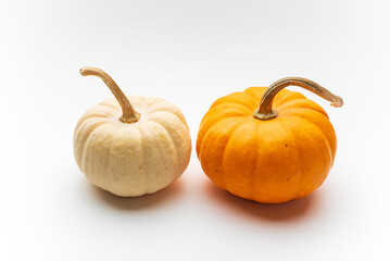 small decorative pumpkins on the white background