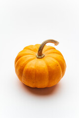 small decorative pumpkins on the white background