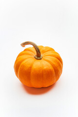 small decorative pumpkins on the white background