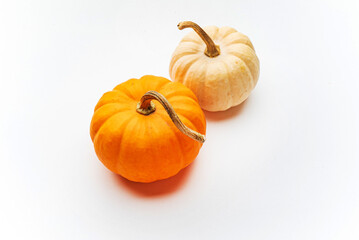 small decorative pumpkins on the white background