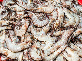 prawns