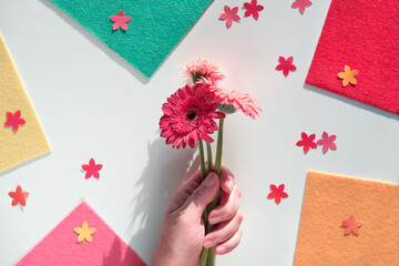 Hand holding gerbera daisy flowers with confetti and felt. Isolated panoramic image, text space.