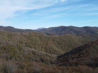 DCIM\101MEDIA\DJI_0382.JPG