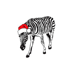 Zebra in Santa Claus hat. Vector new year 