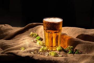 Close up. Glass of cold beer, sunflower seeds, malt, hop on a table with sackcloth on a dark background. Beer ingredients. Fast food and snacks in local brewery pub bar. Oktoberfest. Still life rustic