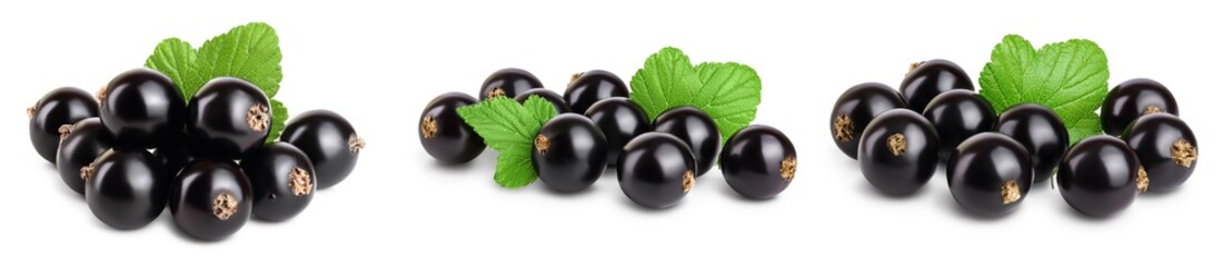 black currant with leaves isolated on white background with clipping path and full depth of field. Set or collection