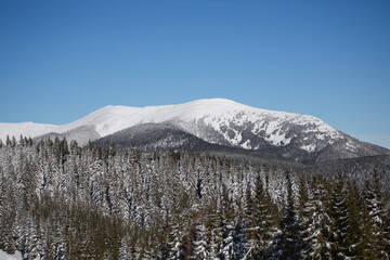 snow covered mountains