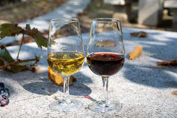 Outdoor tasting of different fortified port wines in glasses in sunny autumn, Douro Valley, Portugal