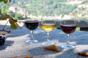 Outdoor tasting of different fortified port wines in glasses in sunny autumn, Douro Valley, Portugal