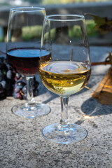 Outdoor tasting of different fortified port wines in glasses in sunny autumn, Douro Valley, Portugal
