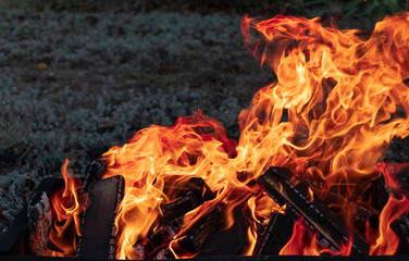 beautiful bonfire  in the evening wih visible firewood and coals, fire close-up