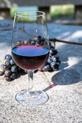 Outdoor tasting of different fortified port wines in glasses in sunny autumn, Douro Valley, Portugal