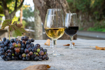 Outdoor tasting of different fortified port wines in glasses in sunny autumn, Douro Valley, Portugal