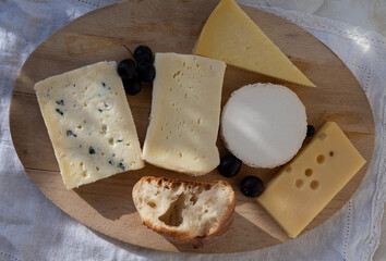French cheese collection on marble board, emmental, carre de aurillac, petit cantal AOP Jeune, buche chevre, brie