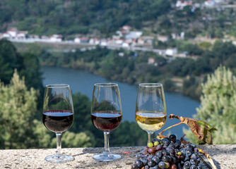 Fototapeta na wymiar Outdoor tasting of different fortified port wines in glasses in sunny autumn, Douro river Valley, Portugal