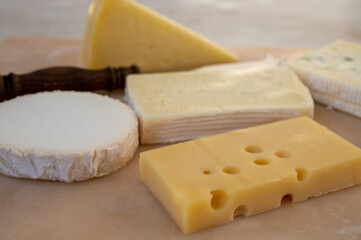 French cheese collection on marble board, emmental, carre de aurillac, petit cantal AOP Jeune, buche chevre, brie