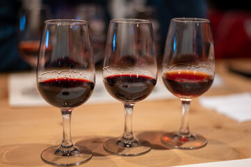 Professional tasting of different fortified dessert ruby, tawny port wines in glasses in porto cellars in Vila Nova de Gaia, Portugal