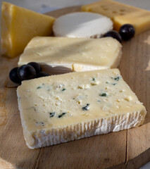 French cheese collection on marble board, emmental, carre de aurillac, petit cantal AOP Jeune, buche chevre, brie