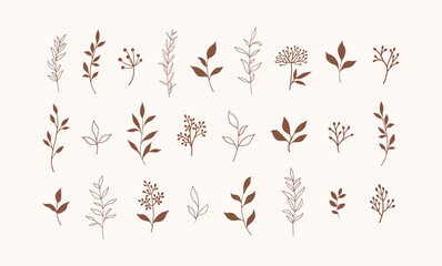 Set of vector plants and herbs. Hand drawn floral elements.