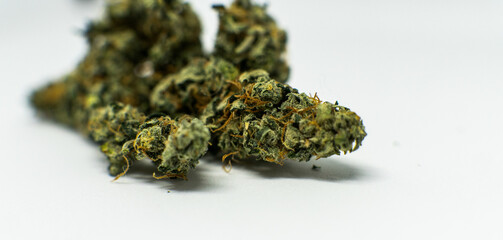 Modern Marijuana strains in 2020. Healing medical strains of wee