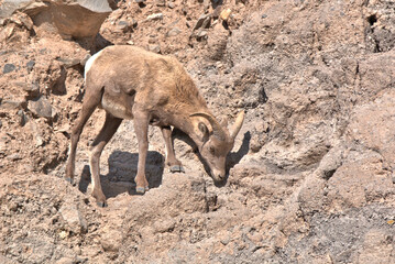 San Juan Mountains in southern Colorado