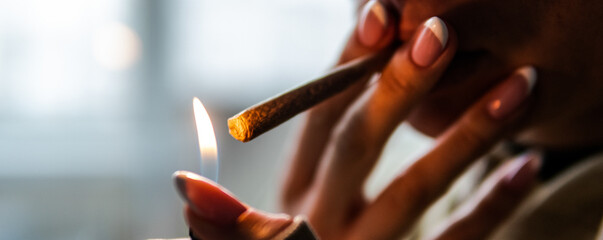 checking  fresh marijuana buds in male hands. Trimming medical m