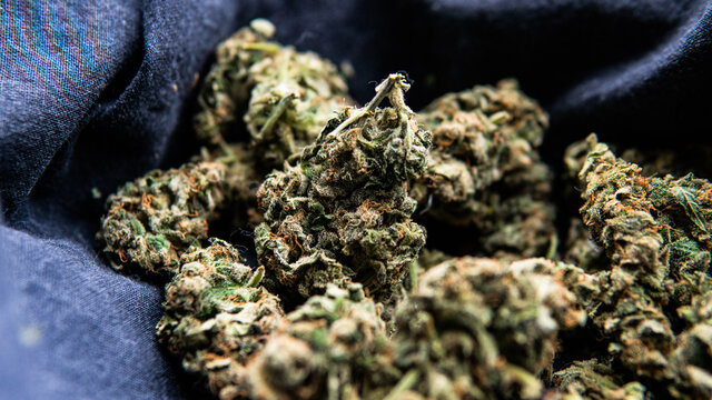 Modern Marijuana strains in 2020. Healing medical strains of wee