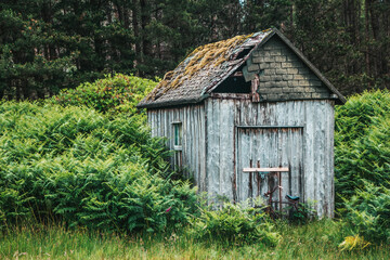Abandoned Shack in a Scottish Forest