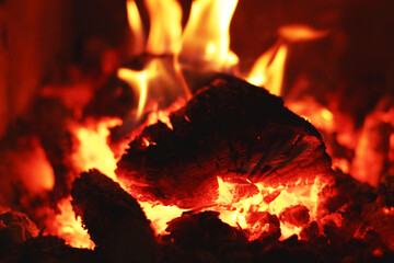 Burning fire wood. Background  Сloseup
