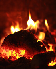 Burning fire wood. Background