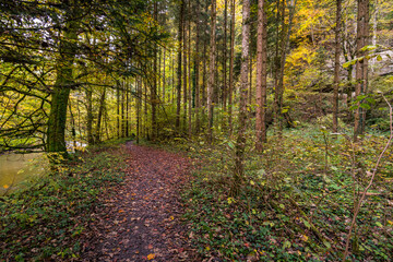 Fantastic autumn hike along the Aachtobel to the Hohenbodman observation tower
