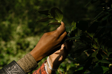 Black hands exploring nature and plants outdoors