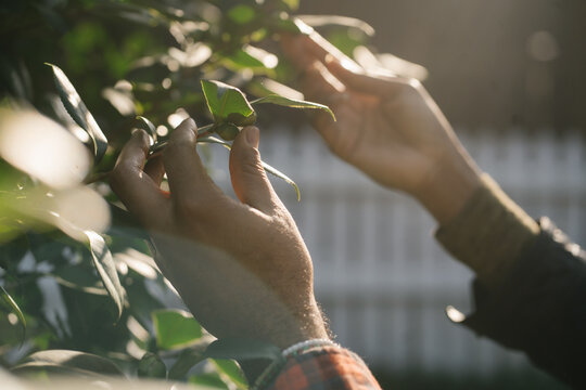 Black hands exploring nature and plants outdoors