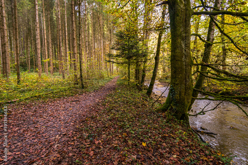 Wall mural Fantastic autumn hike along the Aachtobel to the Hohenbodman observation tower