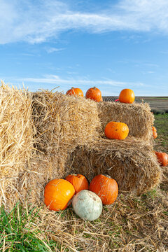 Pumpkins on straw bales on pumpking farm.