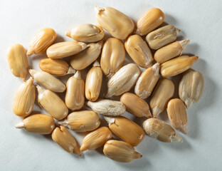 Peeled sunflower seeds on a white background. Isolate A handful of seeds close-up. Macro.